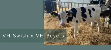 ARTICLE ENTRY TYR (14)