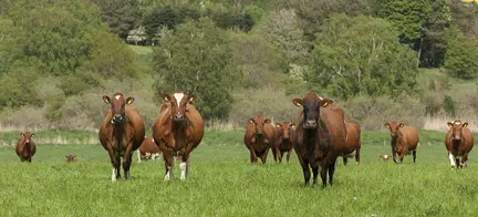 Lene Og Lars Jørgensen May2023 Ellygeverink