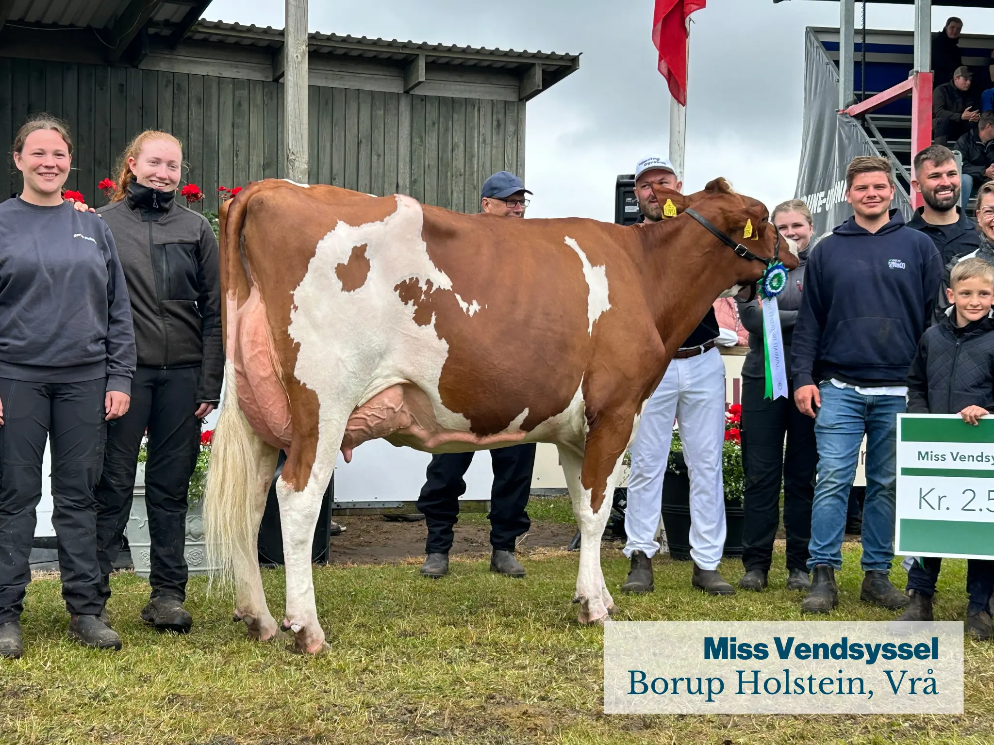 Miss Vendsyssel (1)