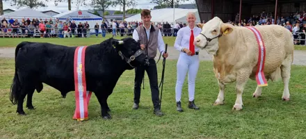 Interbreed Vindere Hundyr Og Handyr På Landskuet 2026