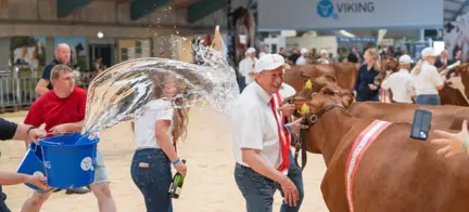 RDM Vinder Landsskuet 2025