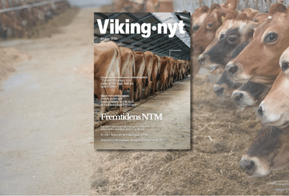 Forsiden Af Vikingnyt Februar 2026 Og Køer Fra Adelgaard Jersey