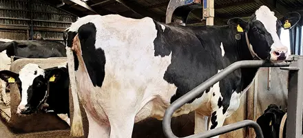 20200519 103843 Vn Web Srgb Web Oversigt