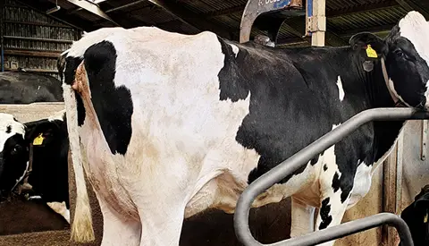 20200519 103843 Vn Web Srgb Web Oversigt