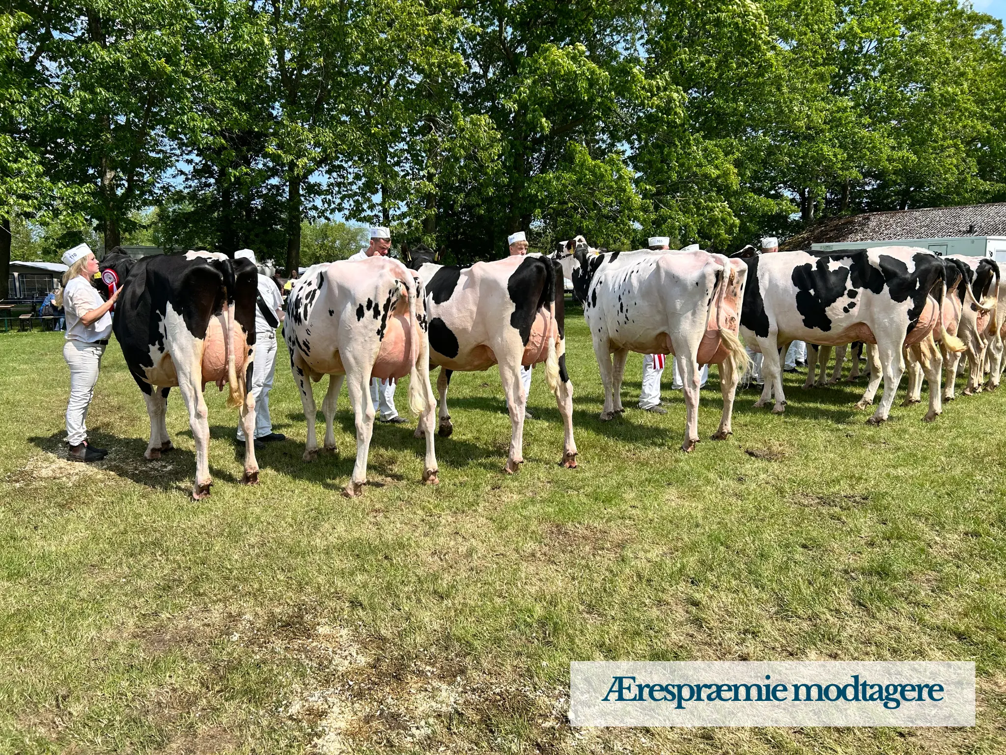 Ærespræmiemodtagere2