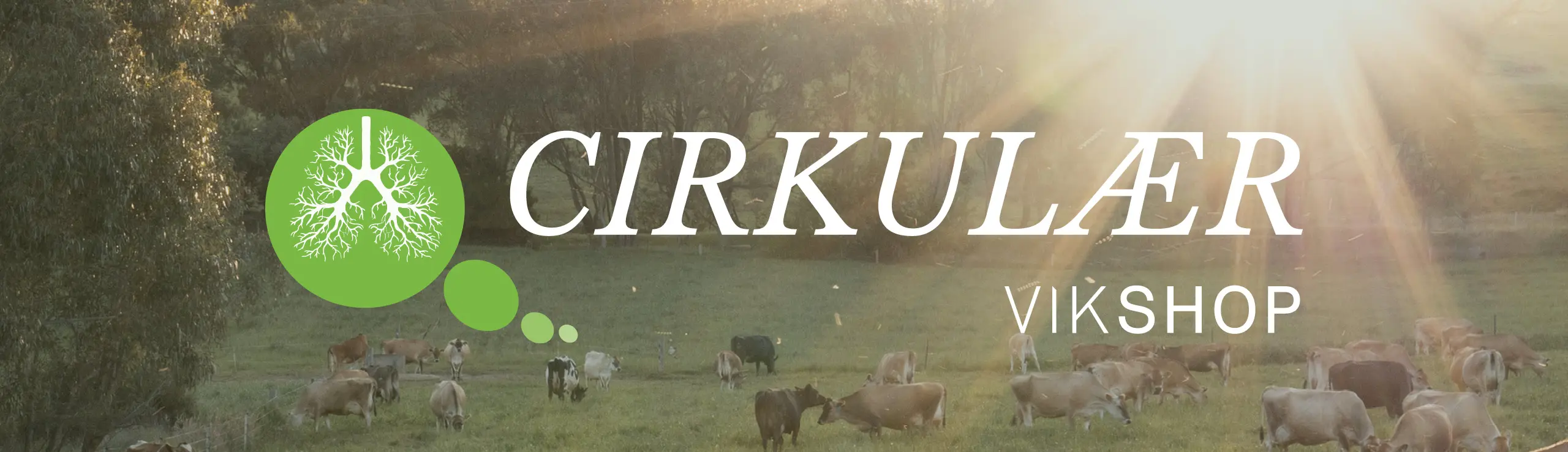 Vikshop Cirkulær Stemning Og Logo