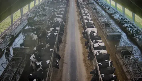 Billede Fra Smartfarming Kameraoptagelser