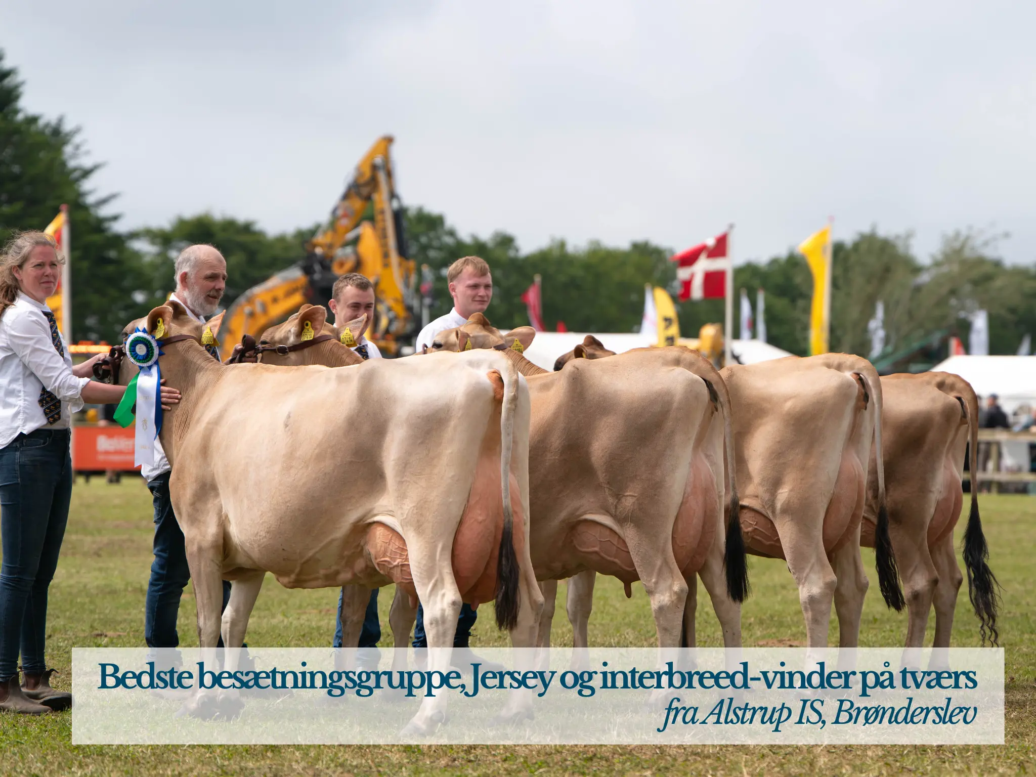 Bedste Besætningsgruppe Interbreed