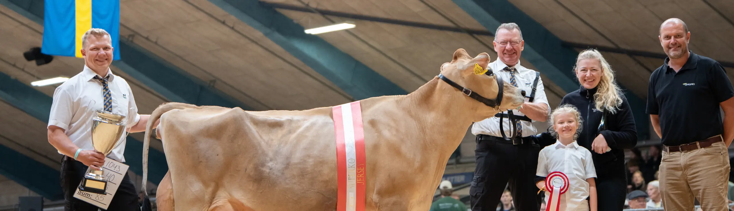 Jersey Superko Efter VJ Hamlet X VJ Hitman, Fra Sydgården IS, Nibe På Landsskuet 2026
