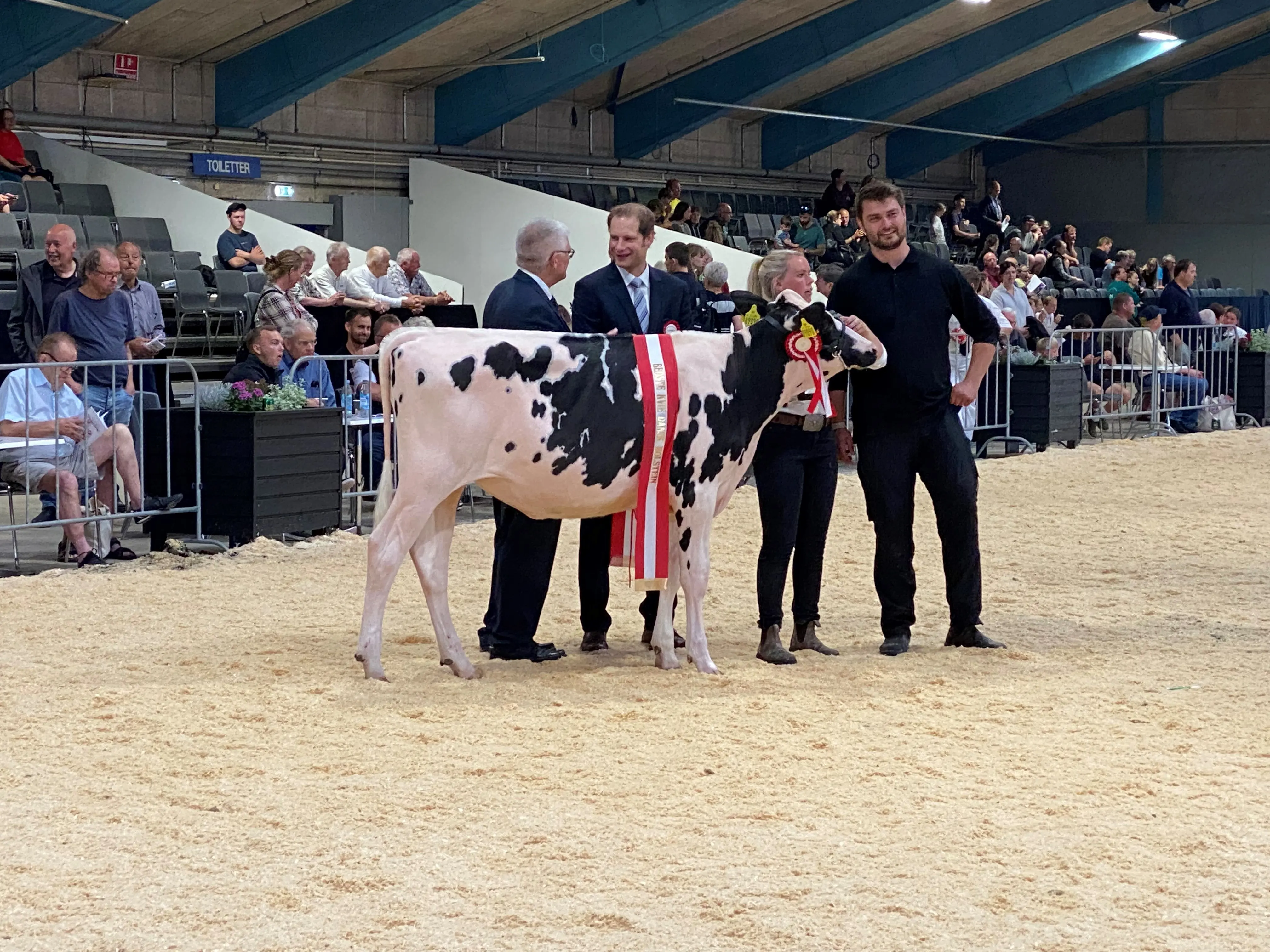 Bedste Kvie, Holstein, Skovgaard (1)