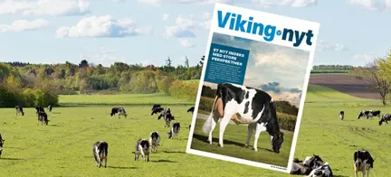 Vikingnyt November 2020