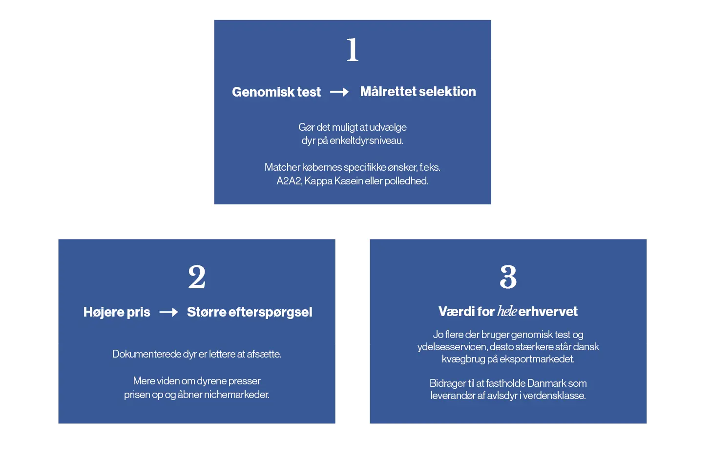 Med genomisk test kan man matche køberens specifikke ønsker, f.eks. til A2A2.