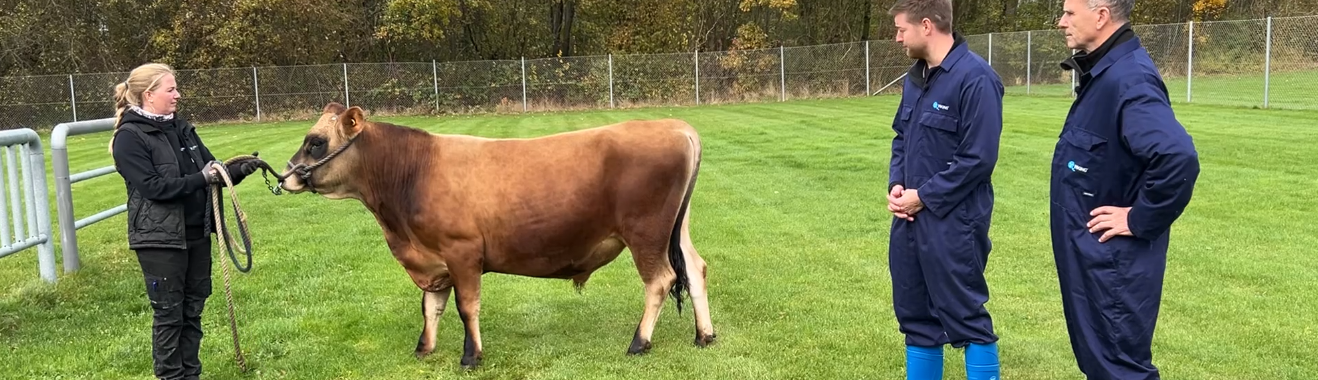 VJ Killian Har Yversundhed +112, Kropsdybde, +102