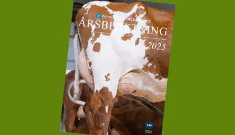 Forsiden Af Årsberetningen 2025