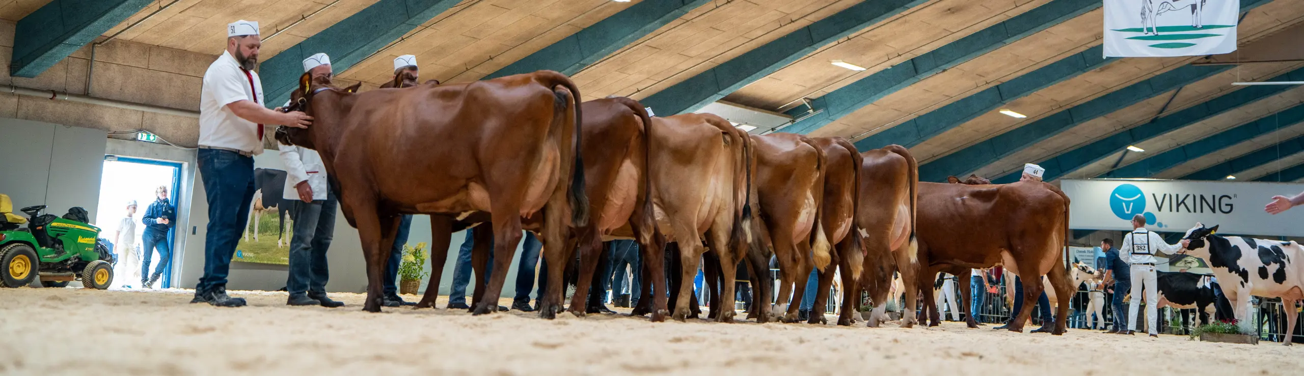 Coverbillede fra Landskuet Herning 2024