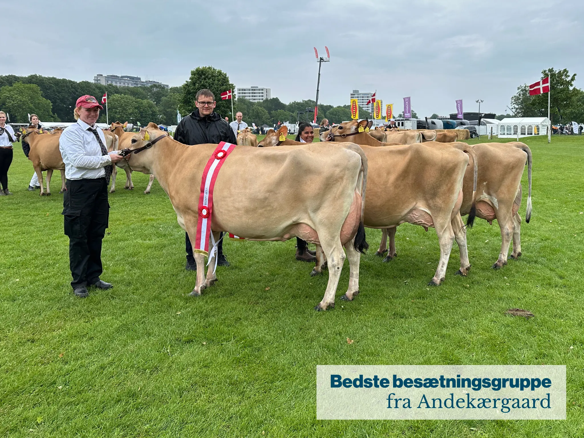 Bedste Besætningsgruppe Fra Andekærgaard .JPG