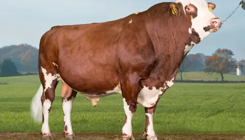 VR Froerup (VR Faber) Front No Signature