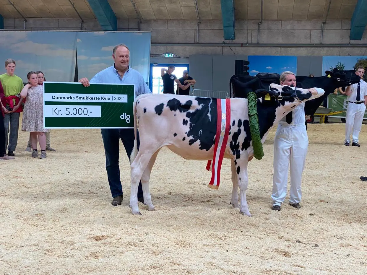 291490649 1103608480511537 2358863509781366251 N (1)