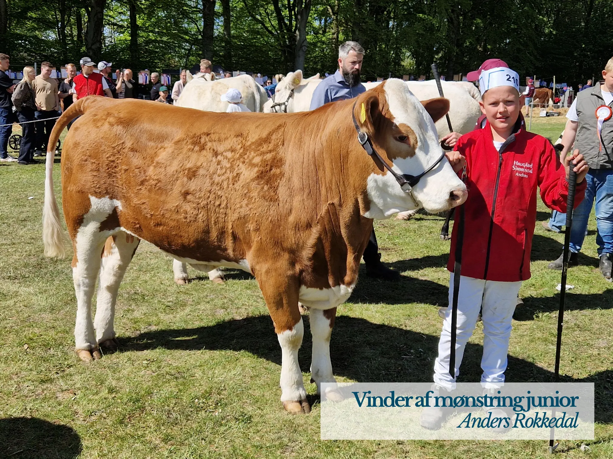 Vinder Af Mønstring Junior Fjerritslev Dyrskue 2026