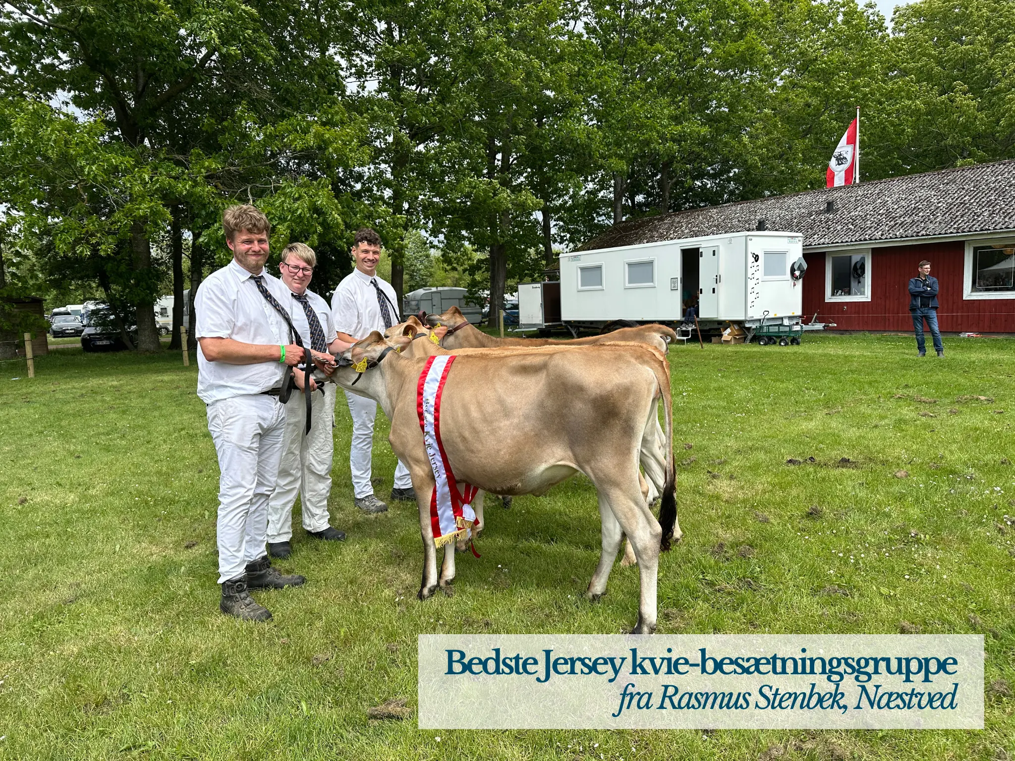 Bedste Jersey Kvie Besætningsgruppe