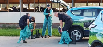 Ins Til Gerda Mini