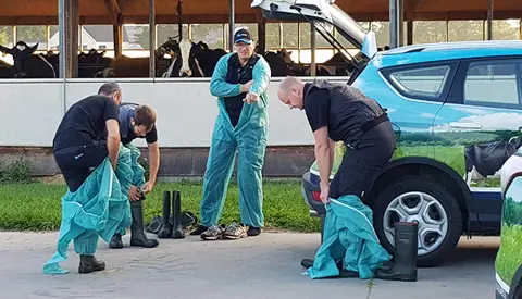 Ins Til Gerda Mini