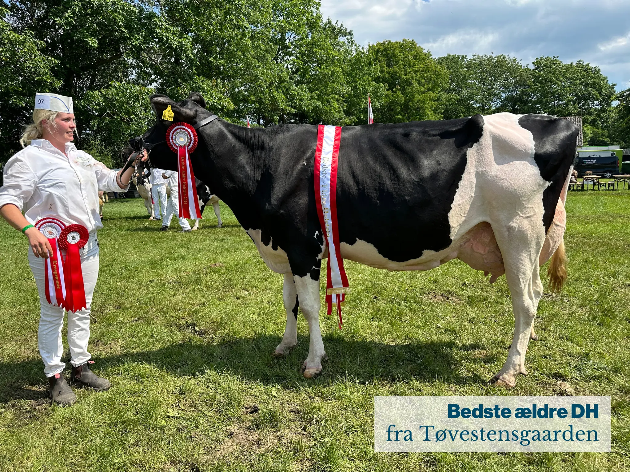 Bedste Ældre DH Fra Tøvestensgaarden .JPG