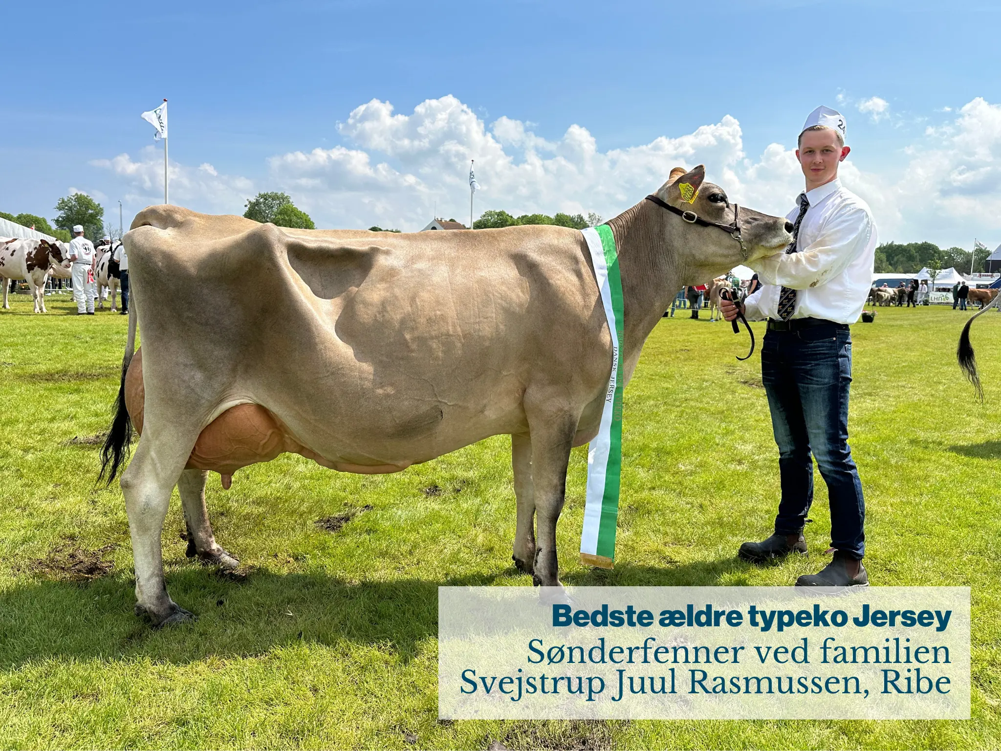Bedste ældre typeko Jersey