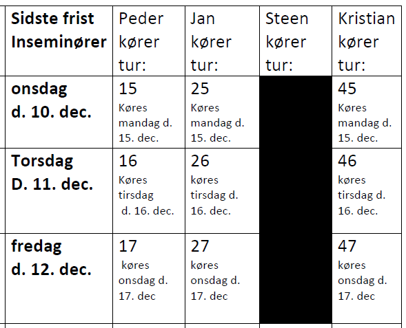 Juleplan 2025 Udklip