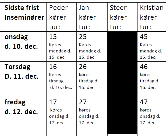 Juleplan 2025 Udklip