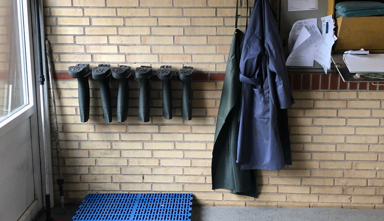 Half Hero Qarter Hygiejne