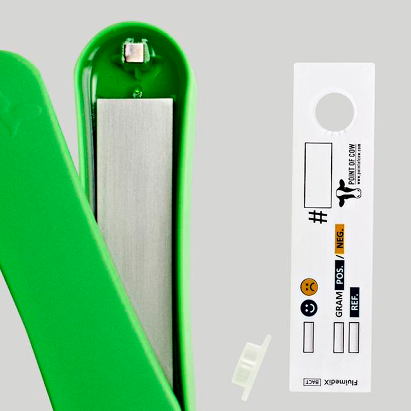 Kvæg Yverpleje Veterinær