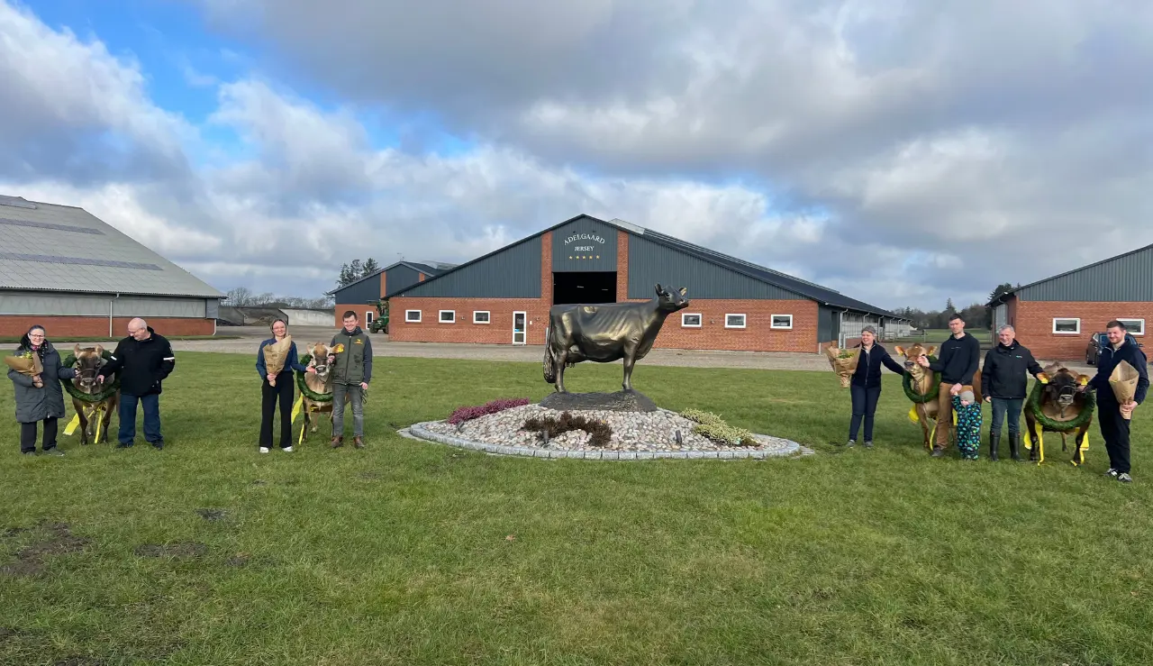 Opdrætterne Og De Fire Jerseykøer Fra Fejringen Af 10.000 Kg Fedt + Protein