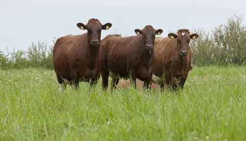 Jacob Serup Pedersen1 May2023 Ellygeverink (7)