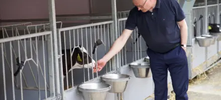 Page Entry Spot Picturesrefence Content 419X284 Px