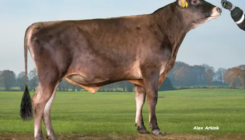 VJ Laster (VJ Lasky)