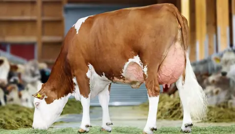 26 07 2016 Panorama Lindner Ecuador Wenke Horizontal Srgb Web