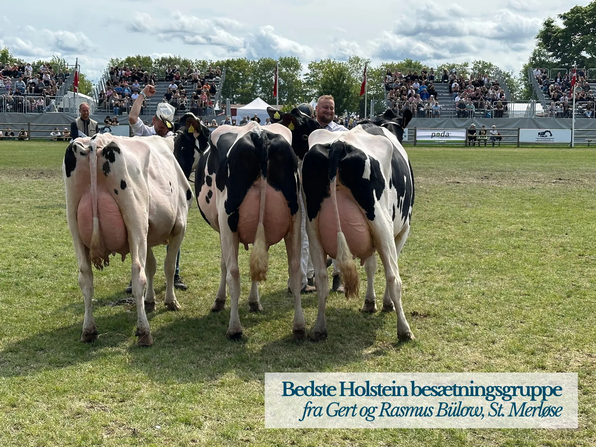 Bedste Holstein Besætningsgruppe