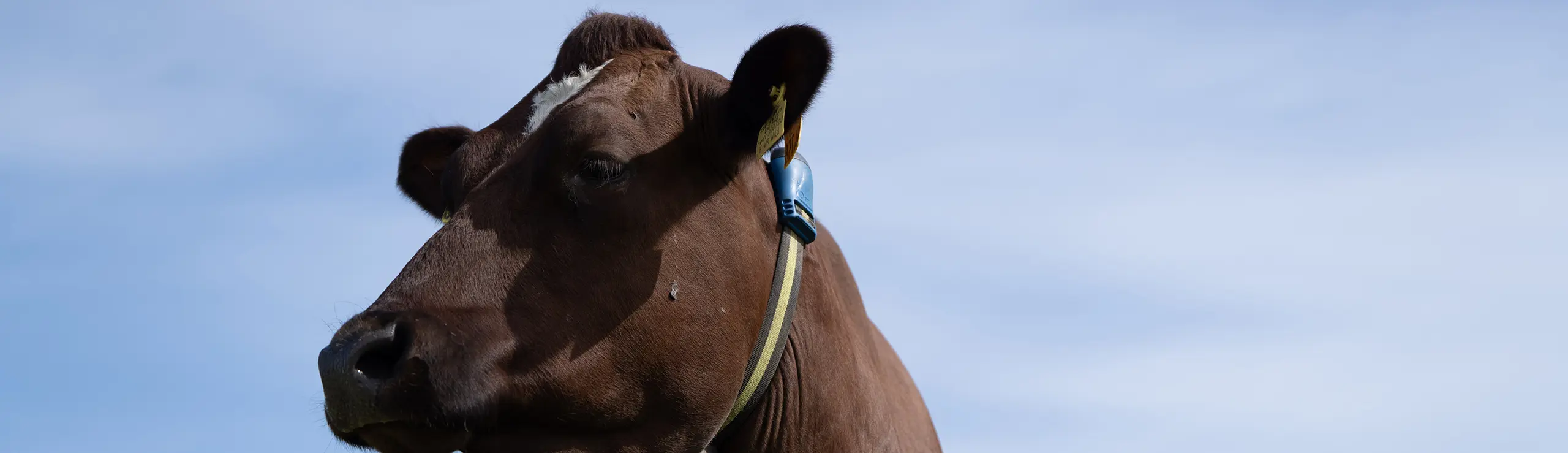 Billede Til Forum (1)