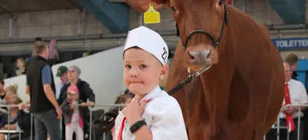 Design Uden Navn(10)