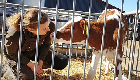 VH Don Red Kvie Srgb Web Oversigt