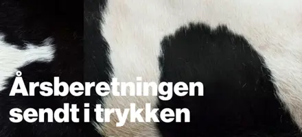 Årsberetning I Trykken