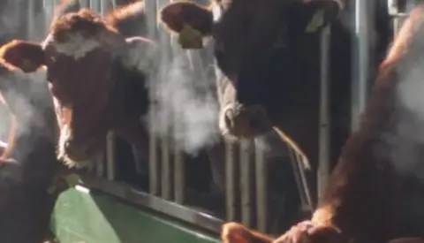 Whatsapp Image 2021 02 16 At 11.59.52 Forside