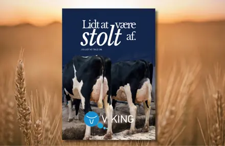 På 40 År Har En Holstein Koen Næsten Fordoblet Sine Værdistoffer