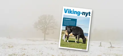 Vikingnyt December 2022