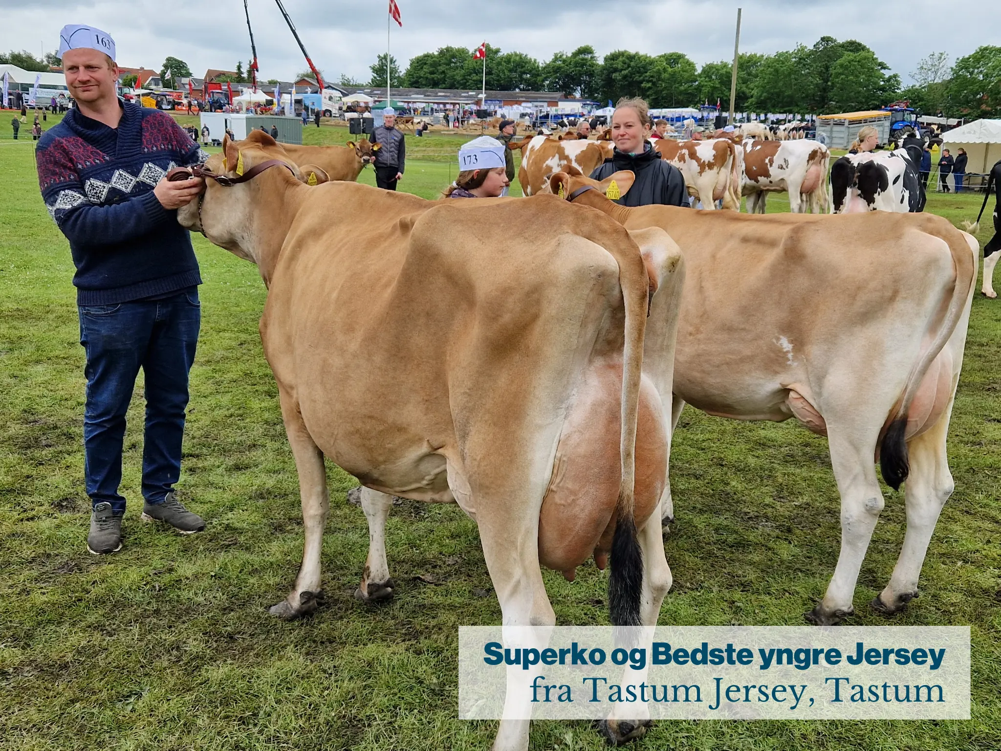 Superko Og Bedste Yngre Jersey