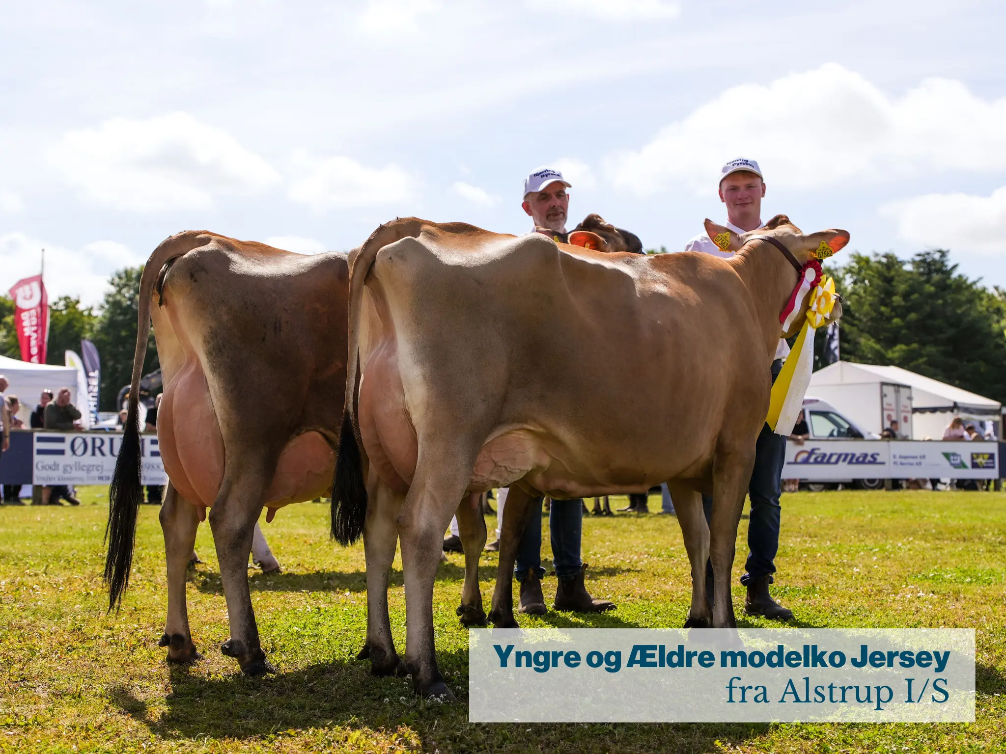 Yngre Og Ældre Modelko Jersey
