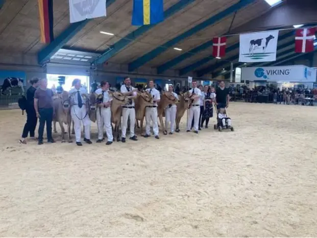 Master Breeder, Adelgaard