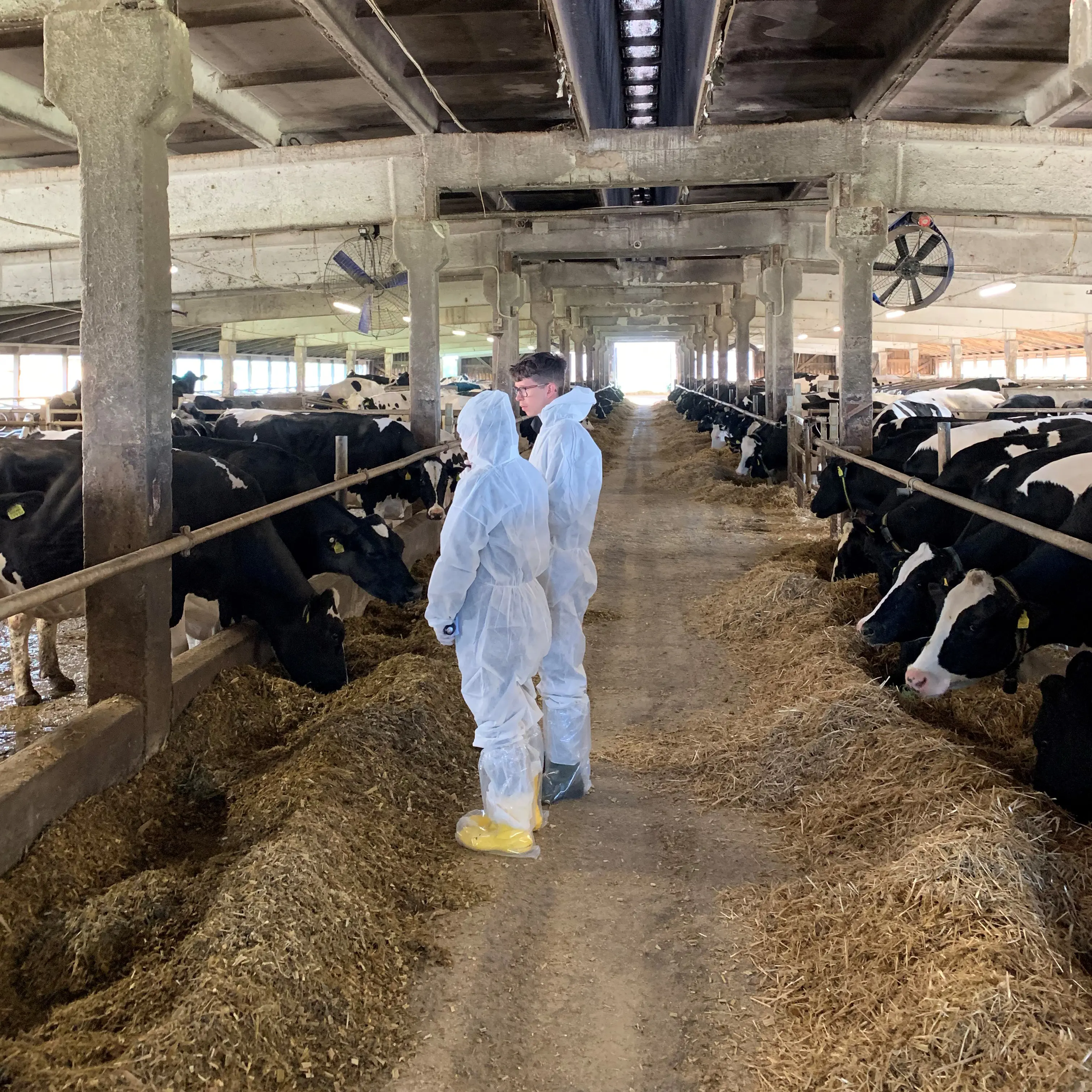 20220617 062634698 Ios