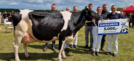 Miss Gl. Estrup 2026 Af VH Ramsey X VH Idaho